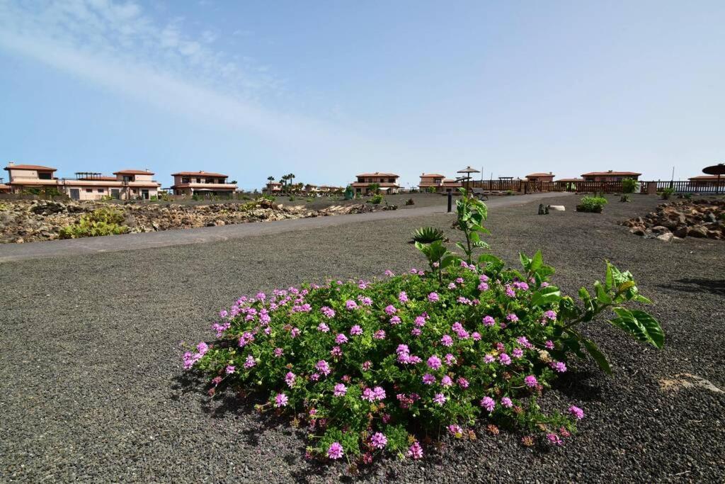 Casa Platanera!! Villa Lajares Dış mekan fotoğraf